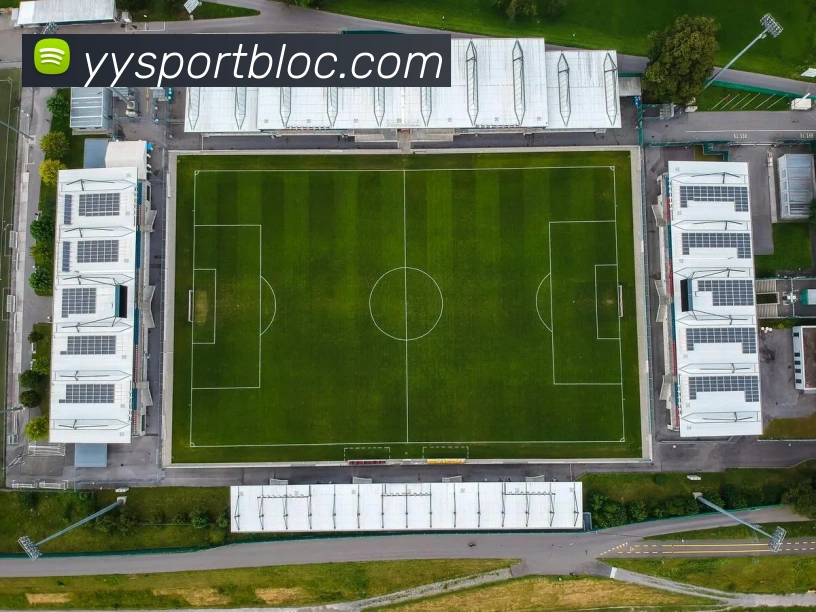 多媒体互动体验